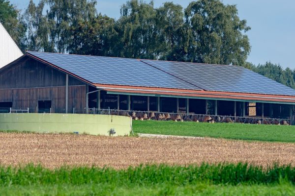 מערכת סולארית לרפת