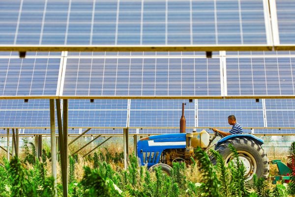 מערכת סולארית לחקלאות