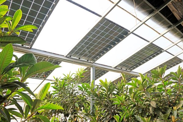 חממה סולארית