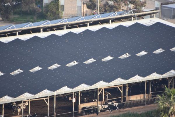 חיסכון חשמל ברפת